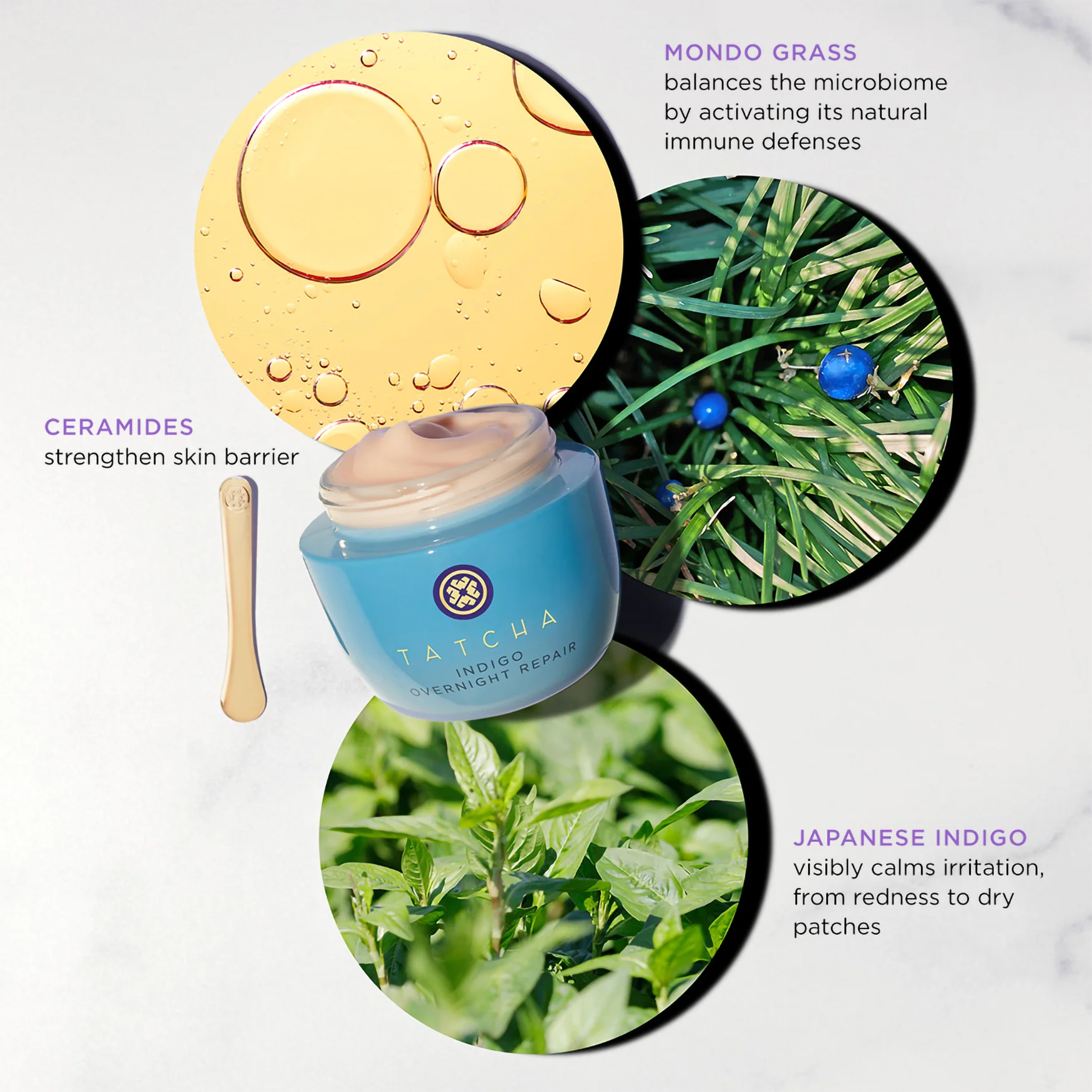 AM & PM Plumping Moisture Duo - Image 6